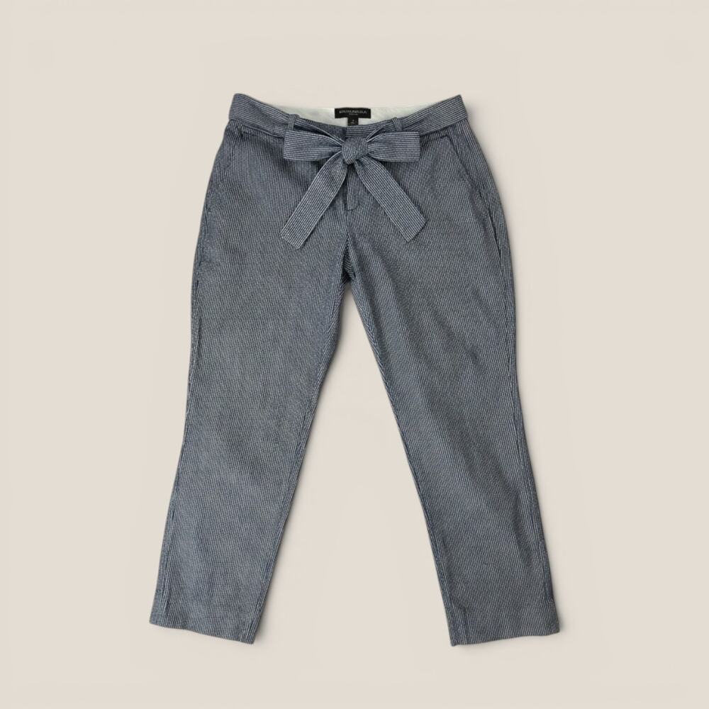 Banana Republic Avery Navy Pinstripe Pants 2P Petite